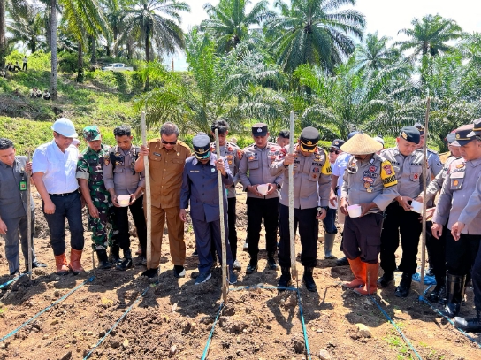 Polres Buol, Pemda Bersama PT. HIP Tanam Jagung Dalam Program 1 Juta Hektar
