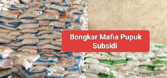 Diduga Jual Pupuk di Atas HET, Distributor di Wilayah Sakra Diduga Oknum Anggota DPRD Provinsi NTB