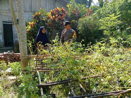 Support Ketahanan Pangan Nasional di Desa Mangubi, Polres Buol : Semoga Menjadi Contoh