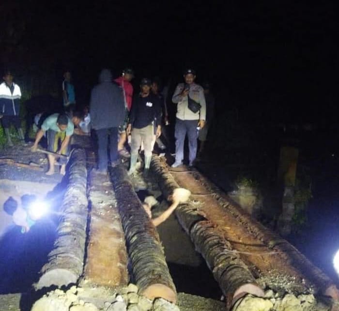 Jembatan Ambruk Di Sigi, Warga Gunakan Batang Kelapa Sebagai Jalur Darurat
