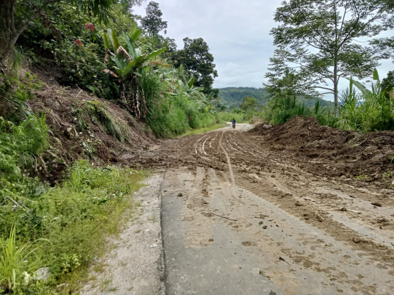 Akses Jalan Provinsi Watumaeta- Alitupu Kembali Pulih, Ini Kata Kadis BMPR Sulteng