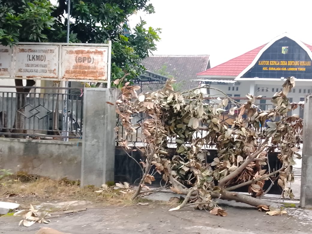 Waga Desa Bintang Rinjani Tanam  Pohon Pisang , Kantor Desa Disegel Sampah