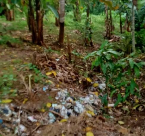Warga Keluhkan Kurangnya Perhatian Pemdes terhadap Masalah Sampah di Dusun Torassi