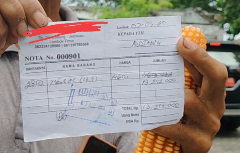 Petani Jagung di Sekaroh Proteske  Pemerintah Harga Jagung Anjlok