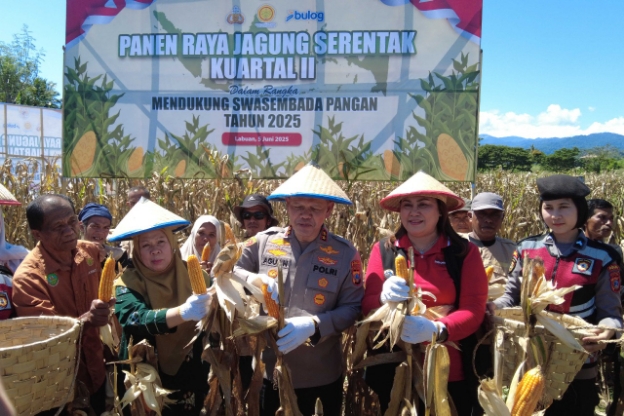 Dukung Kedaulatan Pangan, Wagub Sulteng Hadiri Panen Jagung Serentak Kuartal II