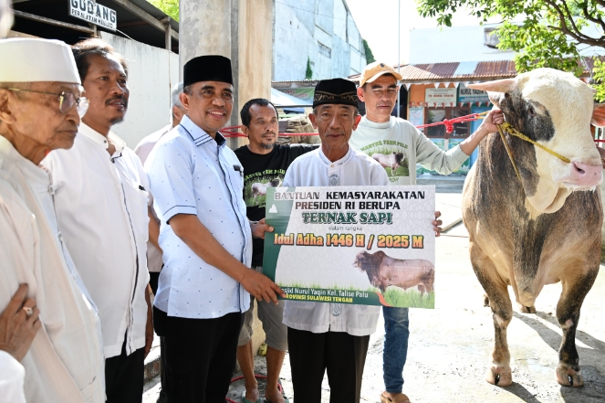 37 Sapi Qurban dari Presiden dan Gubernur Anwar Hafid Disalurkan untuk Warga Sulteng