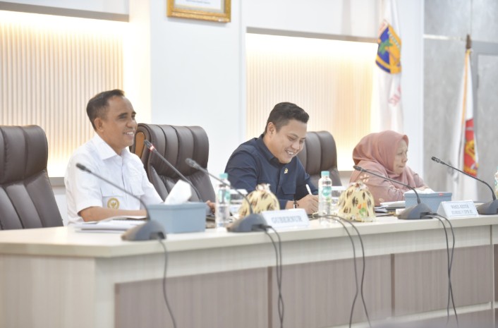 Usulan Strategis Pemprov Sulteng ke Komisi V DPR RI