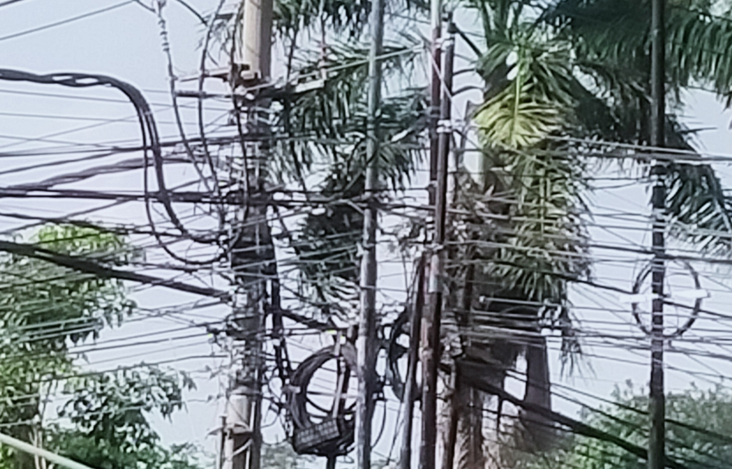 Dinilai Rusak Lingkungan, APH dan Pemda  di Minta Turun Sapu Bersih Kabel Internet Ilegal