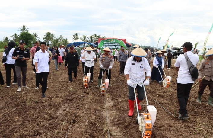 Kolaborasi Pemda dan Polres Buol Tanam Jagung Serentak Kuartal III