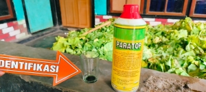 Diduga Suami Selingkuh Dengan Bidan di Lotim, Istri Nekat Minum Racun Pembasmi Gulma Hingga Meninggal Dunia