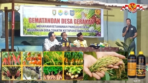 Menuju Surplus Pangan: Kolaborasi Desa, BUMDes, dan PT Mandraguna di Kecamatan Galang
