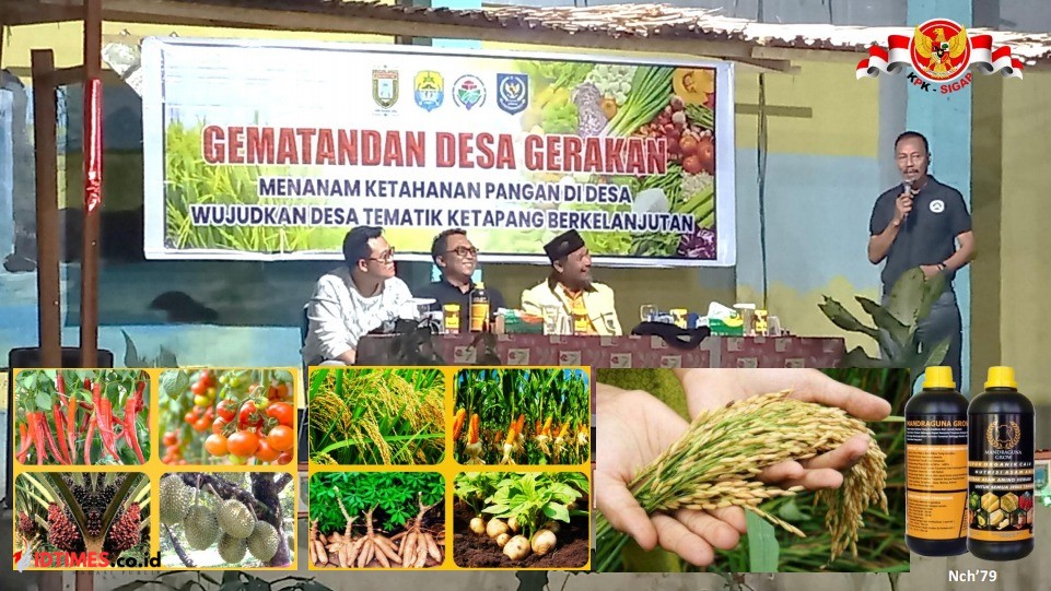 Menuju Surplus Pangan: Kolaborasi Desa, BUMDes, dan PT Mandraguna di Kecamatan Galang