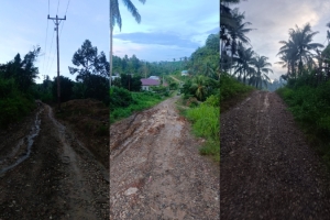 Duamayo, Desa di Kabupaten Buol Penghasil Perkebunan dengan Akses Jalan yang Memprihatinkan