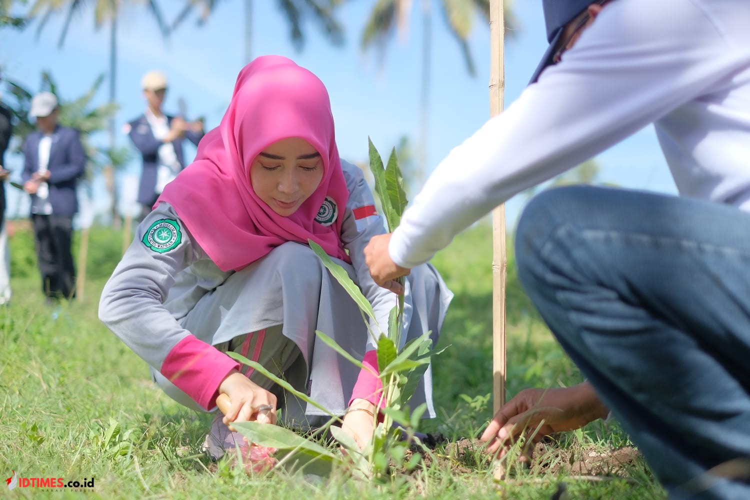 Muslimat NW Gelar Penghijauan Sangga Utama, Ini Kata Anggota DPR RI Komisi VIII Fraksi Gerindra sekaligus Pimpinan Pusat Muslimat NW, Lale Syifaun Nufus