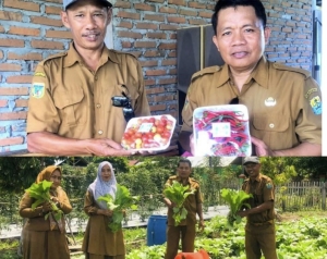 Kebun Kecil, Harapan Besar dari Desa Bunobogu Untuk Kemandirian Pangan di Buol