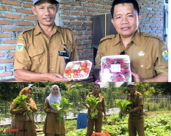 Kebun Kecil, Harapan Besar dari Desa Bunobogu Untuk Kemandirian Pangan di Buol