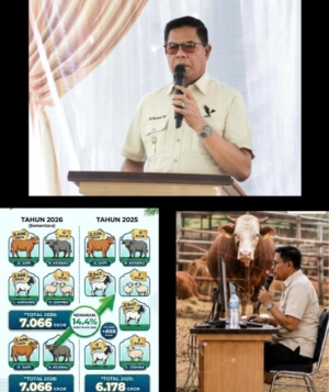 Perbandingan Hewan Qurban 2025–2026 di Lombok Timur Meningkat 14,4 Persen, Ini Kata Bupati Haerul Warsin