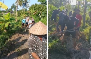 Semangat Kebersamaan! Galibra Pratama; Luar Biasa  Akses Petani Makin Mudah, Warga Cenget Buka Jalan Usaha Tani Secara Gotong Royong