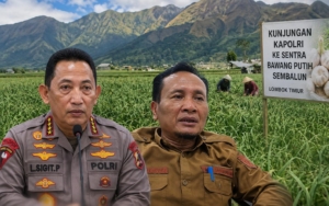 447 Hektare Bawang Putih Sembalun Siap Panen, Kapolri dan Presiden Dikabarkan Bakal Berkunjung, Kadistan Lalu Kasturi Matangkan Persiapan