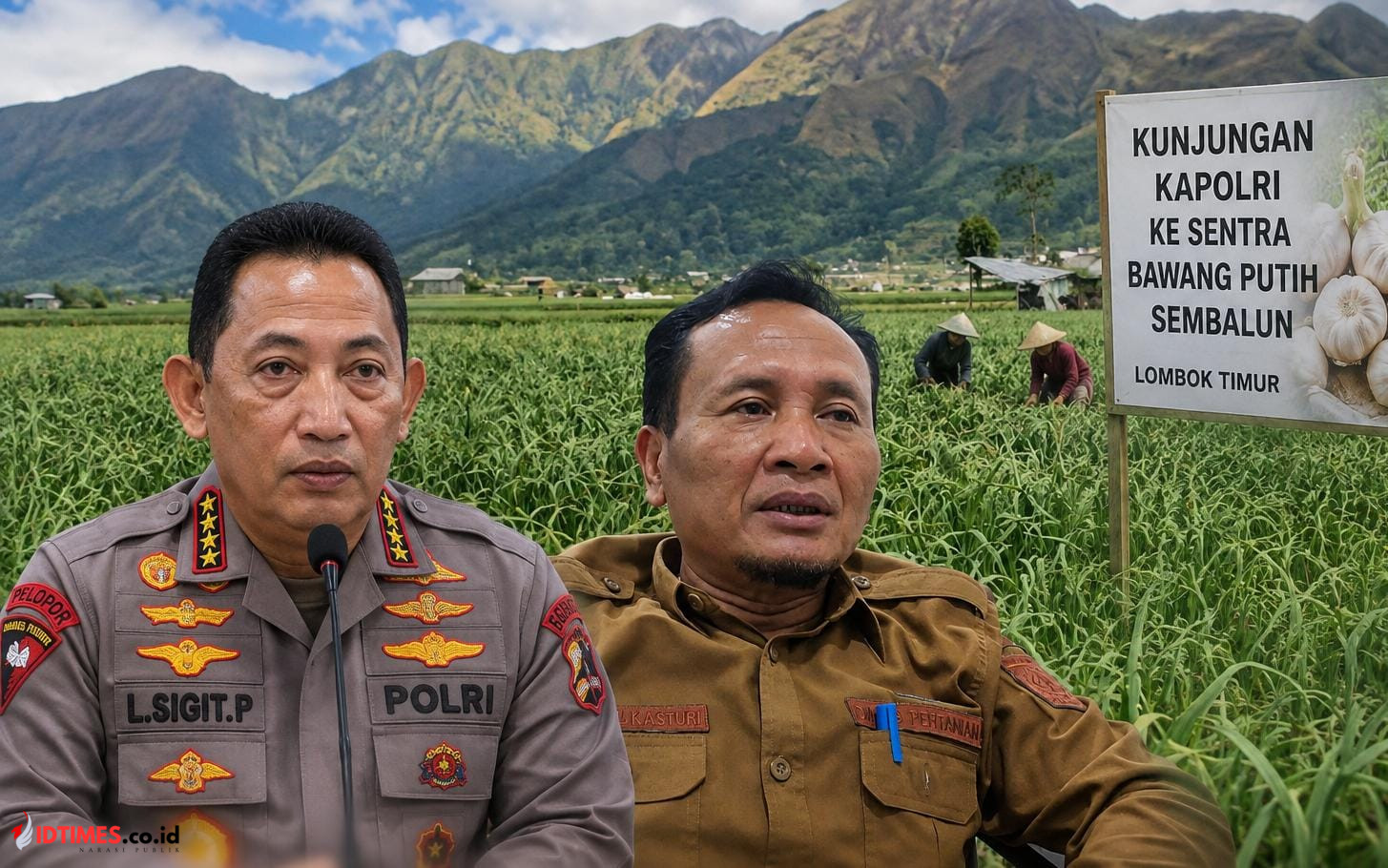 447 Hektare Bawang Putih Sembalun Siap Panen, Kapolri dan Presiden Dikabarkan Bakal Berkunjung, Kadistan Lalu Kasturi Matangkan Persiapan