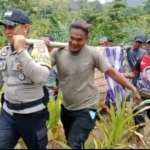 Personel Polsek Momunu Bantu Evakuasi Petani Tewas Tertimpa Pohon di Perkebunan