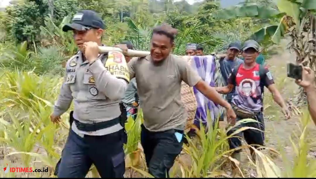 Personel Polsek Momunu Bantu Evakuasi Petani Tewas Tertimpa Pohon di Perkebunan