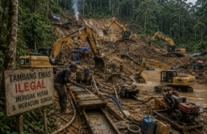 Marak PETI di Buol, Aktivitas Tambang Emas Ilegal Diduga Menyebar dari Busak hingga Kawasan Hutan Bugu