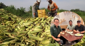 Genjot Investasi Pertanian, Bupati Buol Jajaki Kerja Sama Pengembangan Jagung
