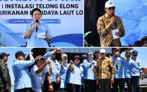 Bukan Sekedar Hasil, Indonesia Didorong Jadi Produsen Lobster Dunia Komisi IV DPR RI Soroti Masa Depan Lobster Lombok Timur, Bupati Iron Siap Kembangkan